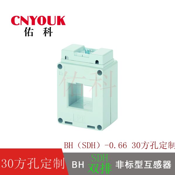 SDH 0.66 II 电流互感器