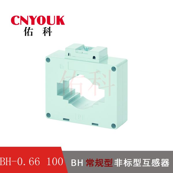 BH-0.66 100I  电流互感器